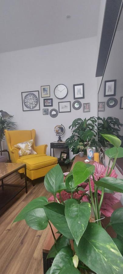 Apartamentos Los Descalzos Free Parking Ronda Dış mekan fotoğraf