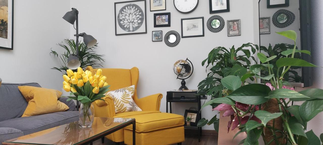 Apartamentos Los Descalzos Free Parking Ronda Dış mekan fotoğraf
