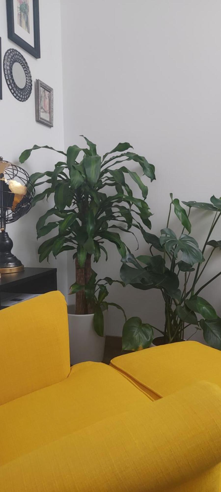 Apartamentos Los Descalzos Free Parking Ronda Dış mekan fotoğraf